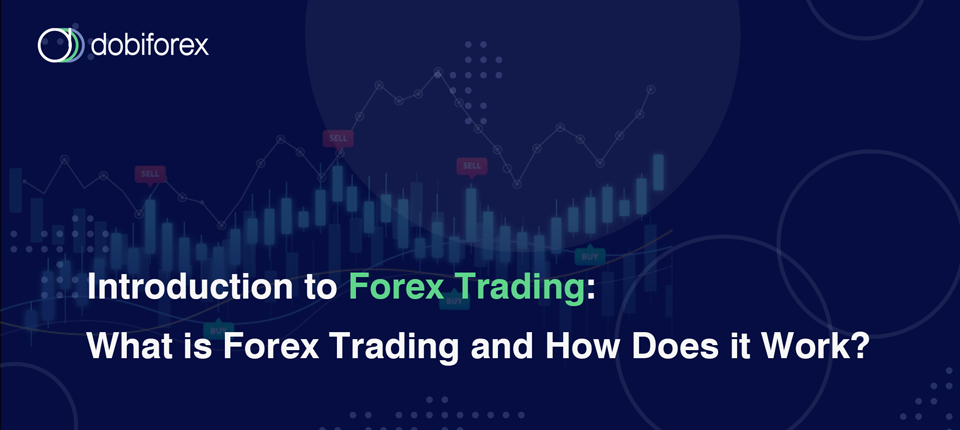 Introduction to Forex Trading | Dobiforex | دبی فارکس