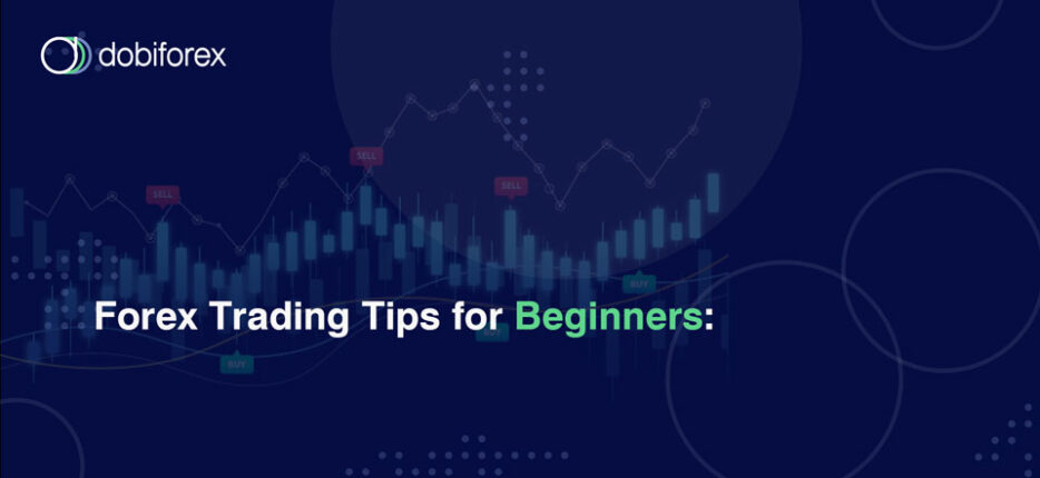 Forex Trading Tips for Beginners | Dobiforex | دبی فارکس